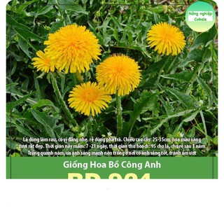 Hạt Giống Hoa Bồ Công Anh 1gr
