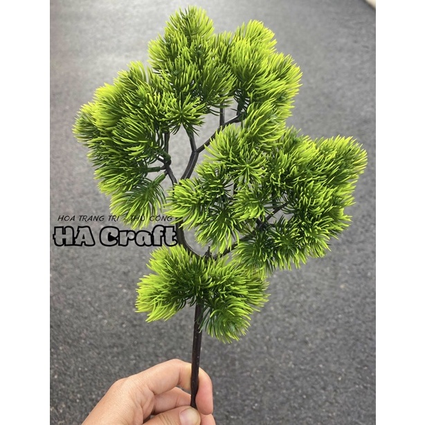 Set vật liệu làm cây tùng Handmade,gốc phủ sơn bền đẹp