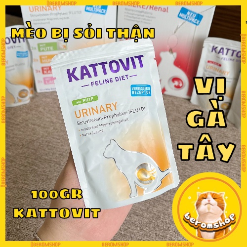 PATE GÓI CHO MÈO KATTOVIT HỖ TRỢ SỎI THẬN, ĐƯỜNG TIẾT NIỆU CHO MÈO 100G NHẬP ĐỨC GIÁ CỰC RẺ