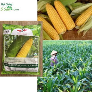 Bắp Mỹ Hai Mũi Tên Đỏ - 500 gr
