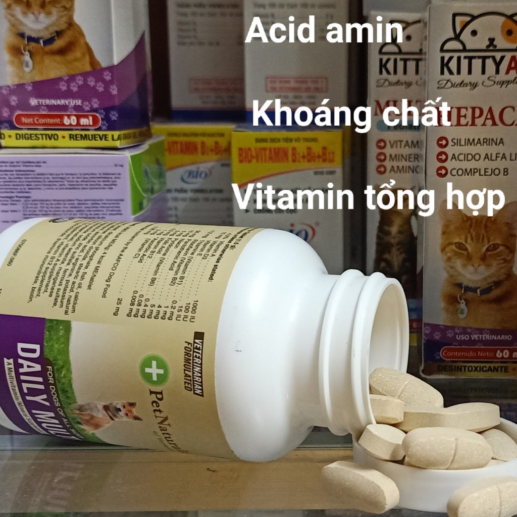 Combo 5 Viên Daily Multi ( Hàng Usa ) - Viên Nhai Vitamin & Khoáng Cho Chó Mọi Lứa Tuổi