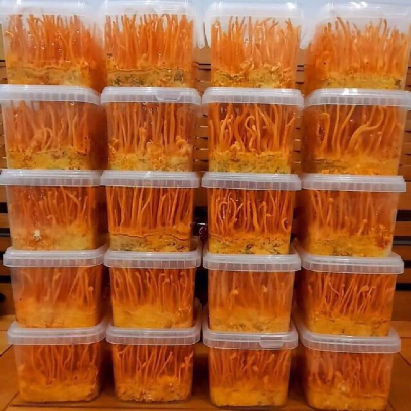Đông Trùng Hạ Thảo Tươi 200gr