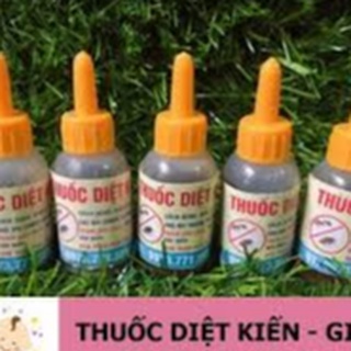 Thuốc Diệt Kiến Gián Sinh Học Không Mùi