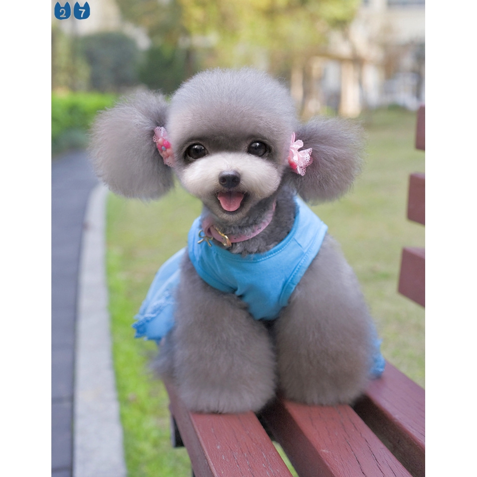 {27Pets} Váy Và Váy Phong Cách Mới Mùa Xuân Hè Cho Thú Cưng / Mèo / Gấu Teddy Bomei