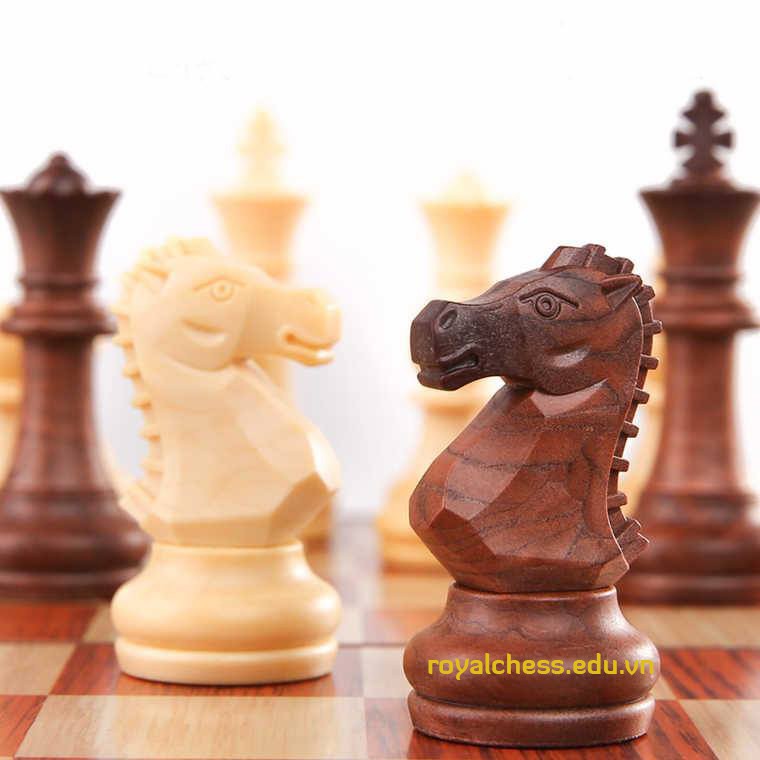 Bộ cờ vua nam châm giả gỗ vừa - size M ROYALCHESS