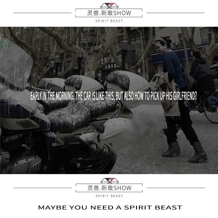 Bạt Phủ Che Mưa Che Bụi Spirit Beast