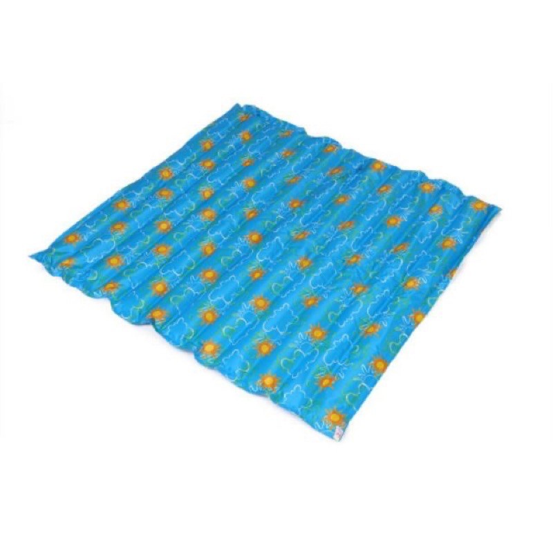 Đệm nước mimosa
