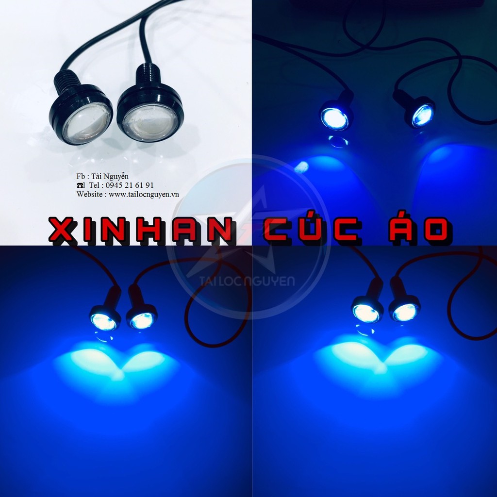 ĐÈN LED XINHAN CÚC ÁO - GIÁ BÁN 1 CẶP