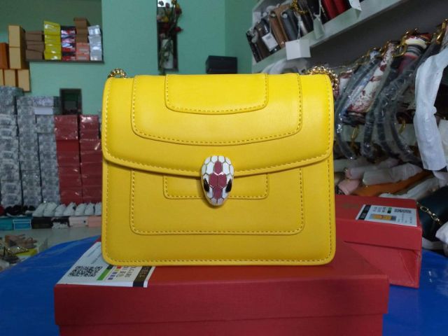 Túi BLV đầu rắn