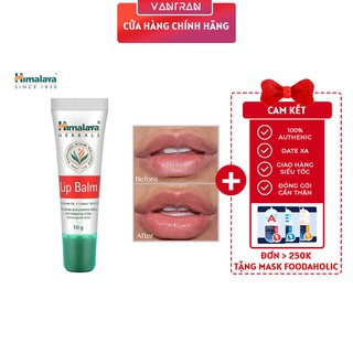 Son dưỡng hồng môi chiết xuất cà rốt Himalaya Lip Balm 10g