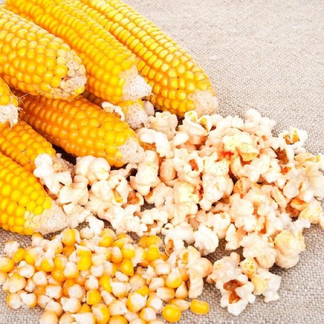 Ngô khô nổ bắp rang bơ 500gam / Ngô nổ popcorn