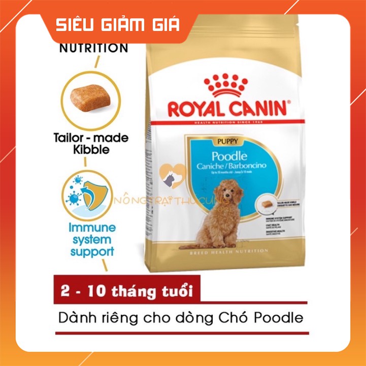 [GÍA RẺ] [Royal Canin Poodle Puppy 500gr] Thức ăn hạt cho chó con