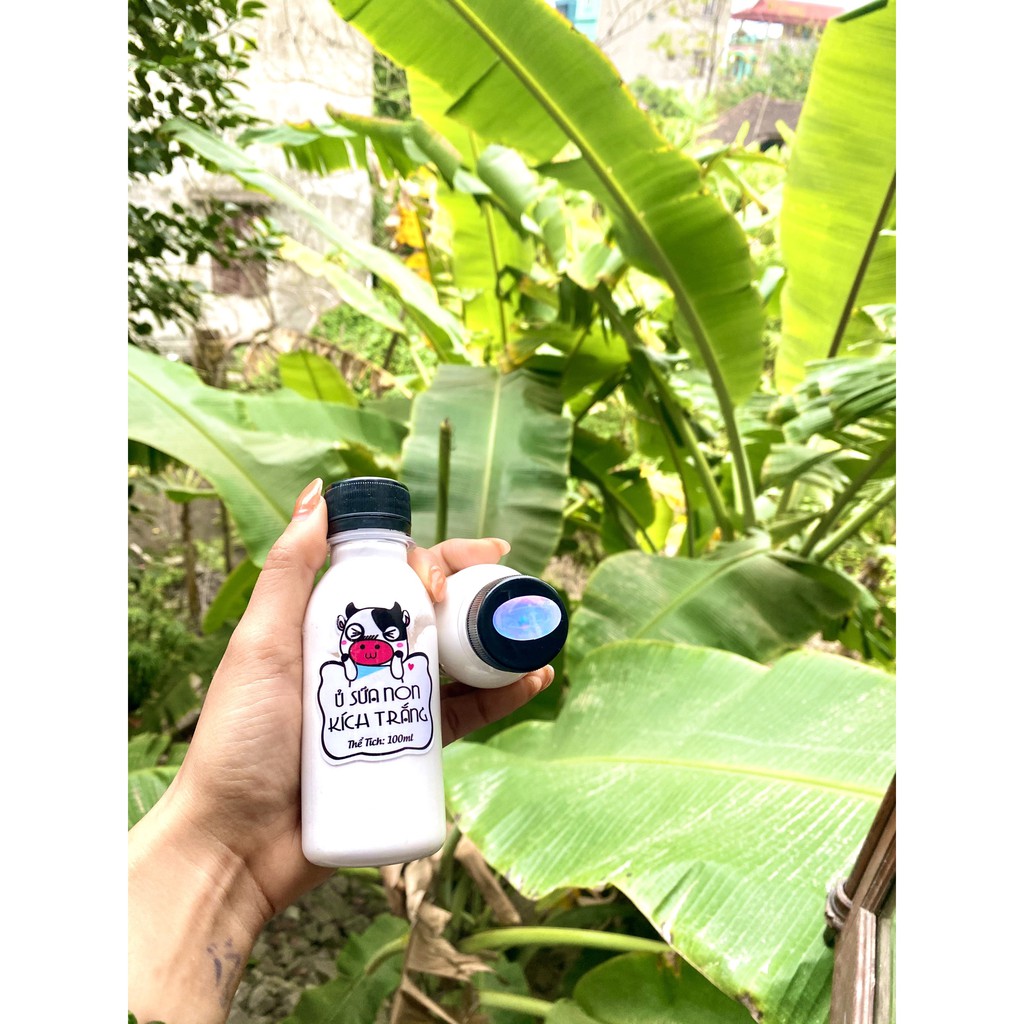 Bột đậu đỏ nguyên chất + Ủ sữa non kích trắng+ Cọ đắp mặt dưỡng da mờ tâm nám , phục hồi da hư tổn | BigBuy360 - bigbuy360.vn