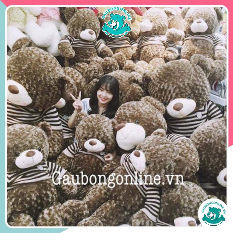 Teddy Choco VNXK 1m2