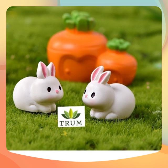 Combo Đôi Thỏ Và Nhà Cà Rốt Đôi phụ kiện tranh trí tiểu cảnh terrarium