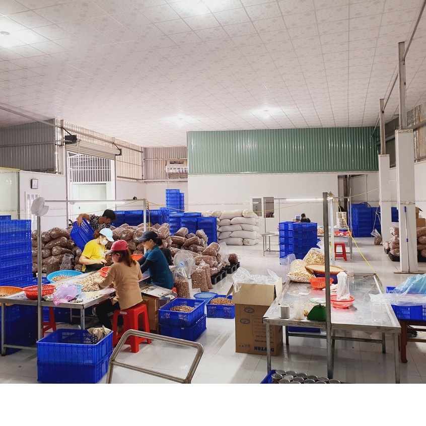 [Loại 1 siêu cay] KHÔ GÀ LÁ CHANH loại ngon nhất | BigBuy360 - bigbuy360.vn