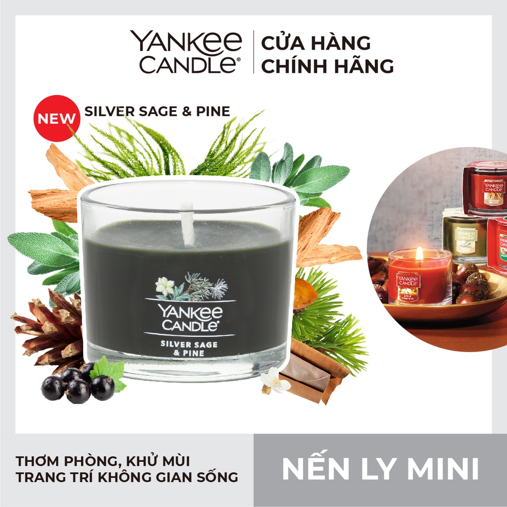 Nến ly mini Yankee Candle - Silver Sage &amp; Pine (37g)