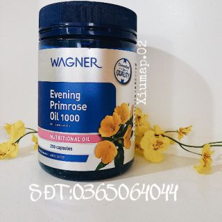 Tinh dầu hoa Anh Thảo Wagner Evening Primrose Oil 1000mg 200 viên