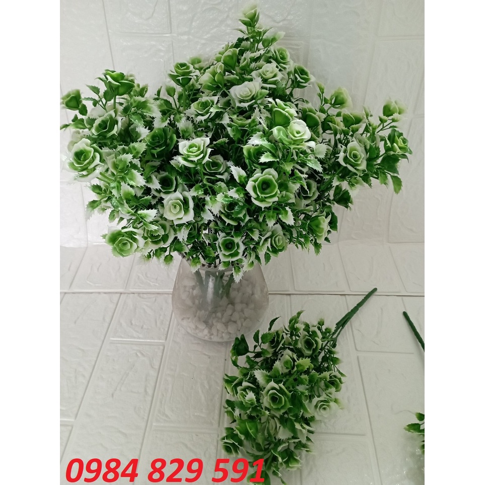 Cụm điểm hoa hồng, điểm hoa bưởi, điểm hoa đá, điểm hoa dương xỉ