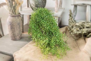 Bụi dây leo - Hoa lụa - Hoa lụa cao cấp