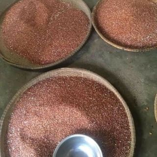 [GIẢM CÂN THẦN TỐC] TRÀ GẠO LỨT,ĐẬU ĐEN RANG TAY