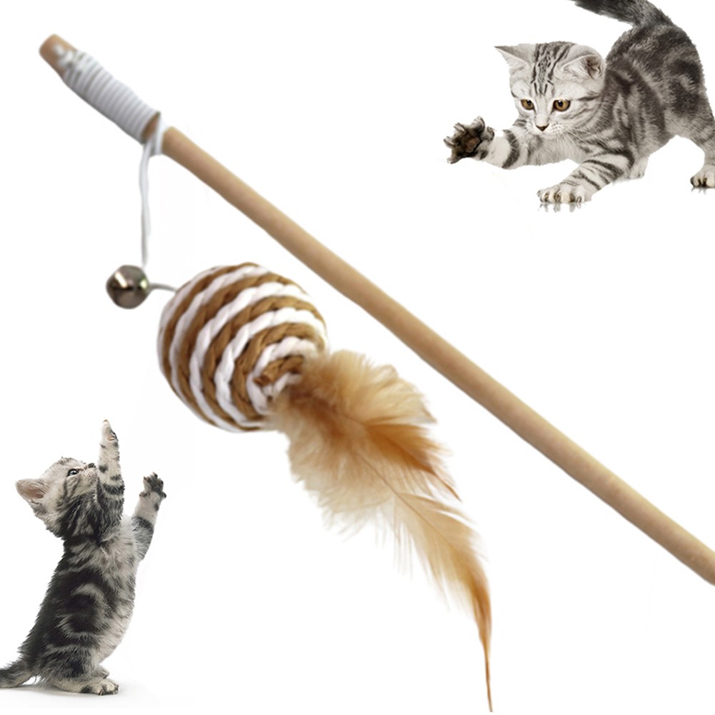 Cần câu đồ chơi cho mèo cưng