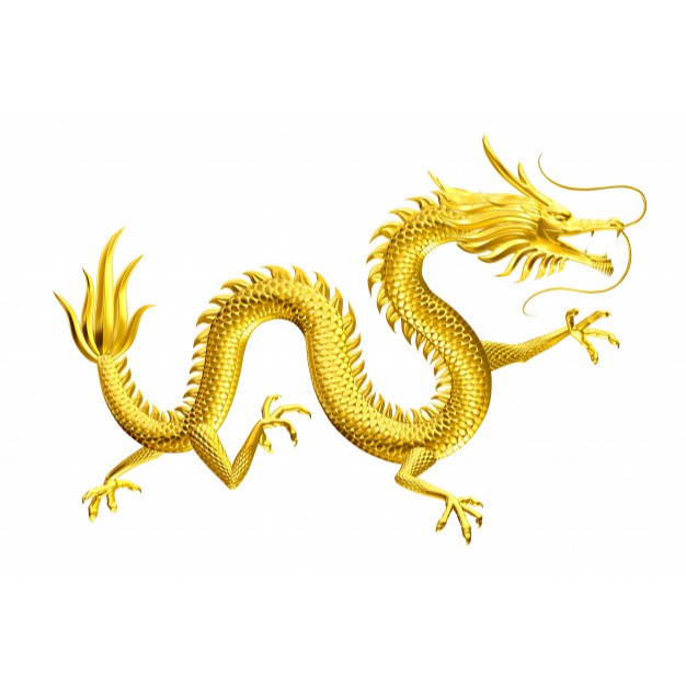 QUẢN TRỊ SỨC KHỎE