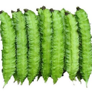 10g Hạt giống Đậu Rồng   