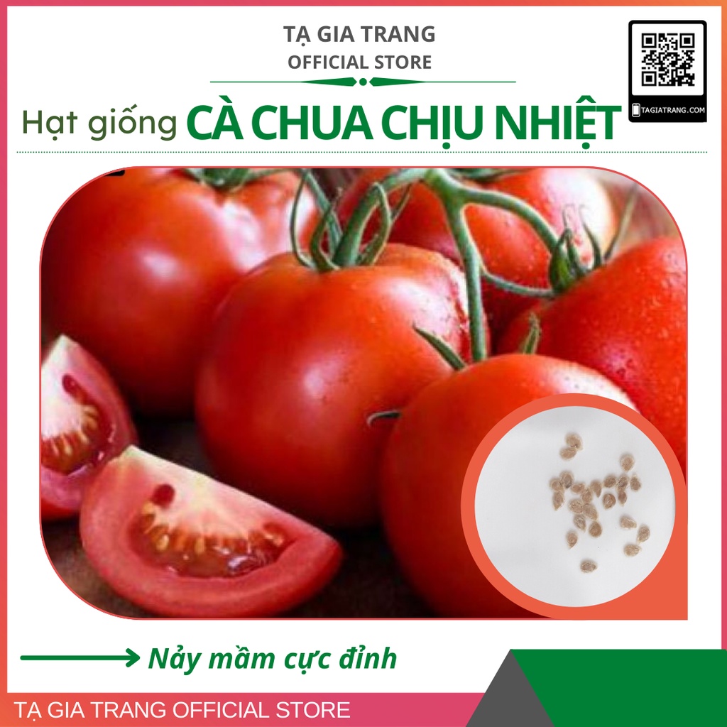 Hạt giống cà chua chịu nhiệt da bóng, thịt dày, vị ngọt - Gói 0.1gr | Tạ Gia Trang