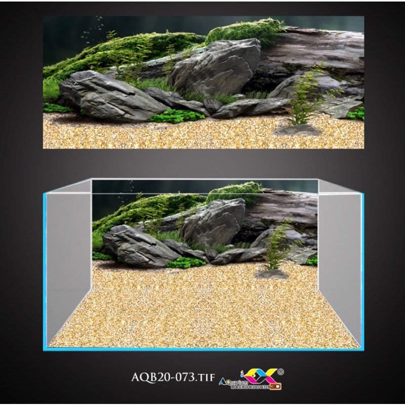 Tranh 3D - phông nền dán hồ cá, bể thuỷ sinh siêu đẹp và nét, có keo sẵn trên bề mặt, có thể in theo kích thước yêu cầu
