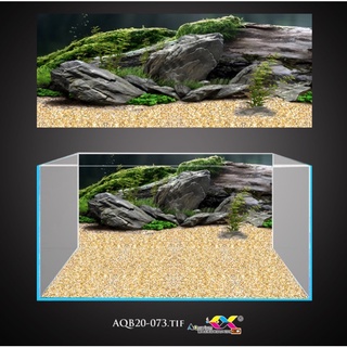 Tranh 3D - phông nền dán hồ cá, bể thuỷ sinh siêu đẹp và nét, có keo sẵn trên bề mặt, có thể in theo kích thước yêu cầu