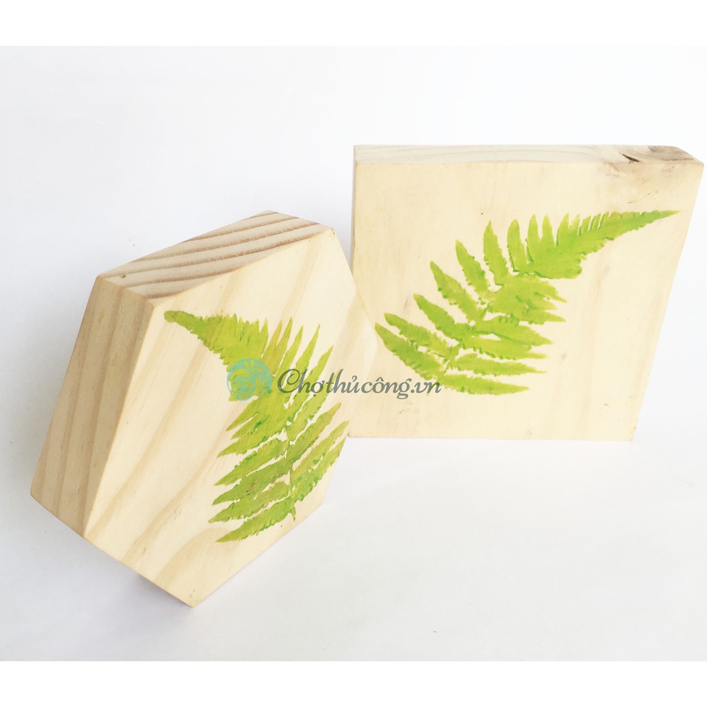 Miếng gỗ thông hình vuông, hình lục giác dày 2cm KT 10 x 10cm làm thủ công, vẽ tranh, lót ly, trang trí