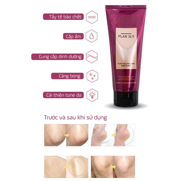 Tẩy Tế Bào Chết Dưỡng Ẩm Sáng Mịn Tái Tạo Da Plant Cell Relaxing Body Scrub Plan 36.5 200g