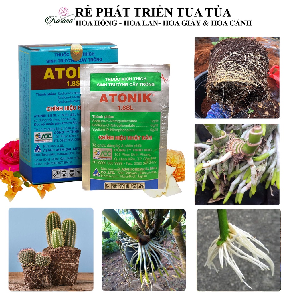 Thuốc kích rễ atonik cho cây, phân bón lá kích thích sinh trưởng cực mạnh lan, hoa hồng, giấy, sen đá