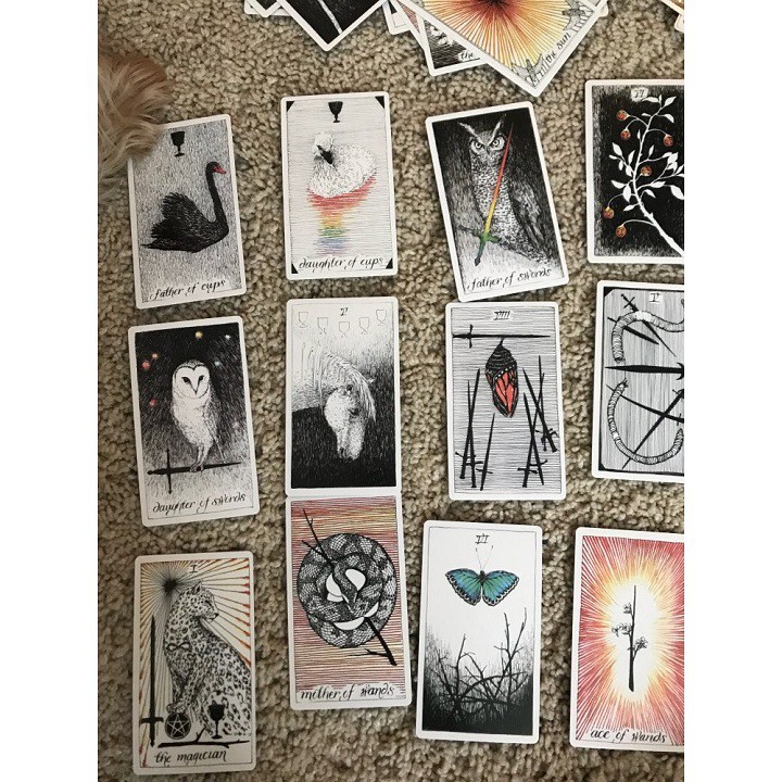 Bộ bài tarot the wild unknown