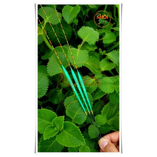 Phao cỏ câu đài, phao cỏ chuyên cá rô phi, cá giếc Lãng Thị- Khôi Fishing