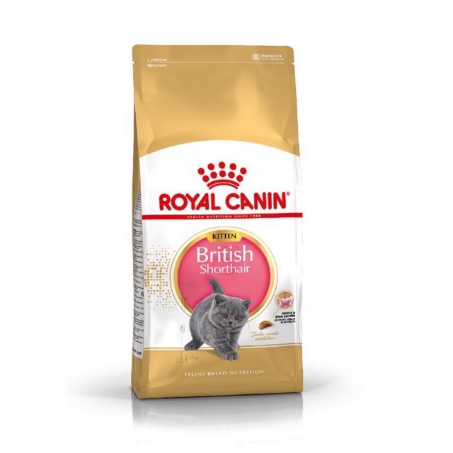 Thức ăn cho mèo Royal Canin British Shorthair Kitten. Dành cho mèo anh lông ngắn dưới 12 tháng tuổi