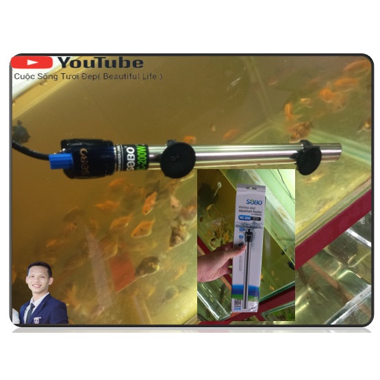 Cây sưởi hồ cá inox