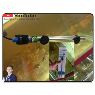 Cây sưởi hồ cá inox