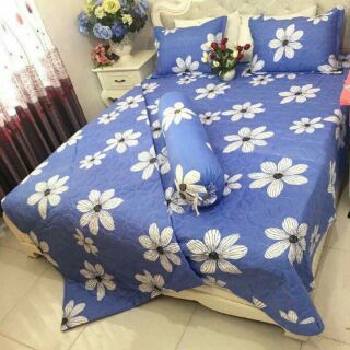 Chăn ga Cotton Poly