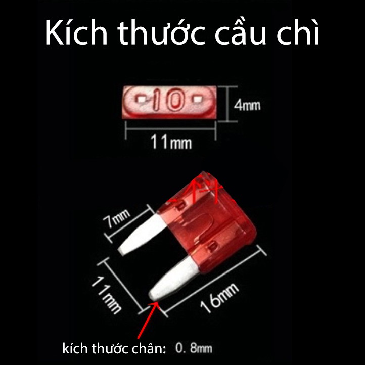 Hộp cầu chì, 120 chiếc cầu chì, từ 2A-40A