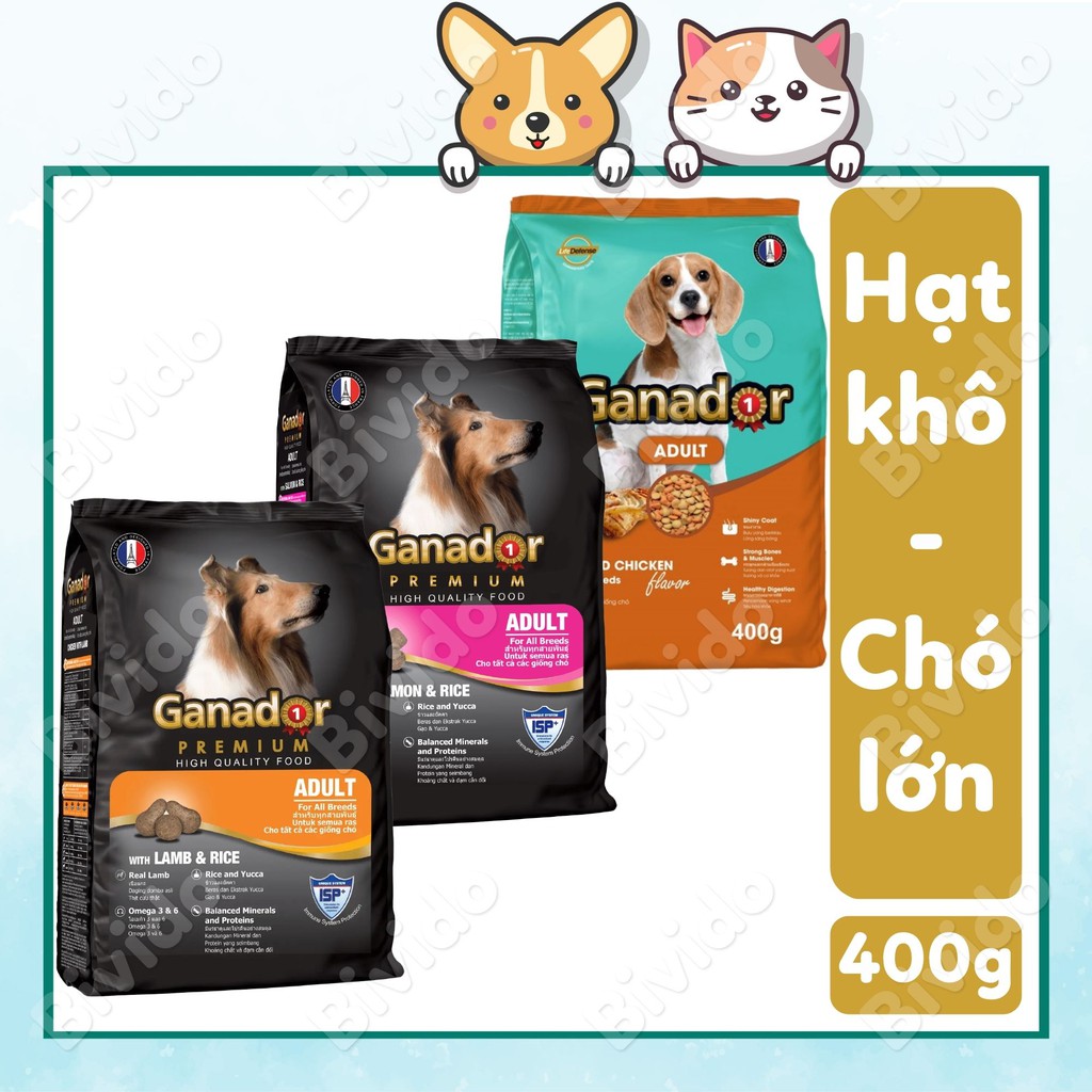 Thức ăn chó lớn Ganador Adult miễn dịch tốt, chất thải rắn ít mùi túi 400g - Bivido