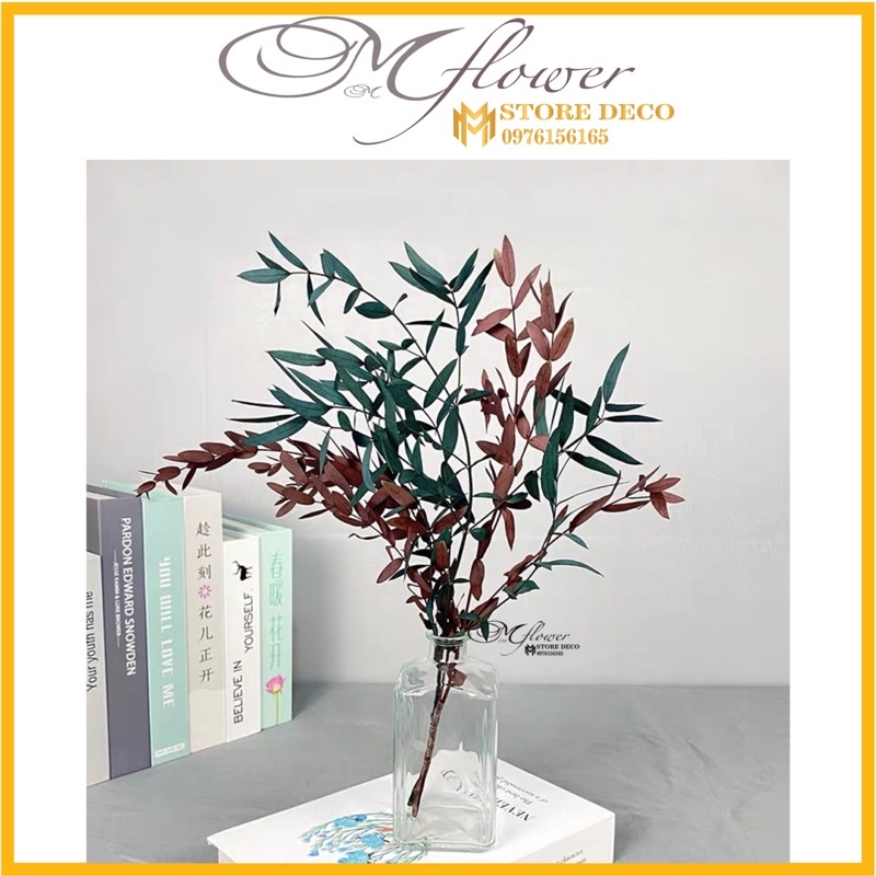 Hoa lá khô bạch đàn Eucalyptus trang trí cắm hoa, decor nhà cửa, chụp hình sản phẩm