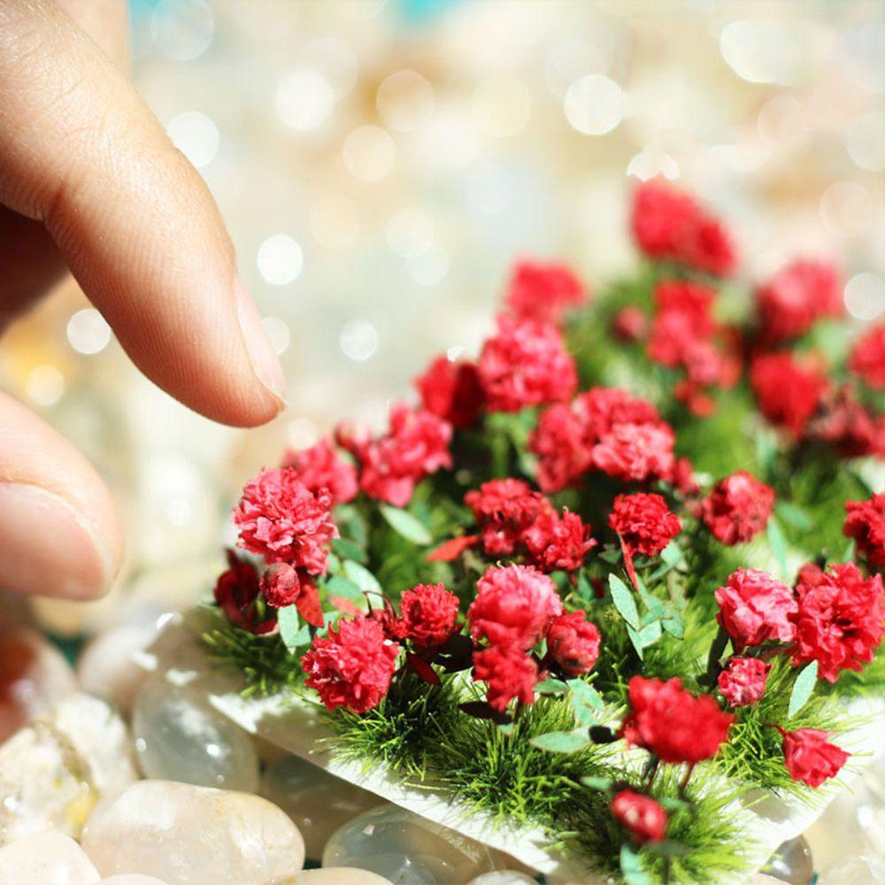 Bộ Phụ Kiện Trang Trí Chụp Ảnh Chuyên Dụng