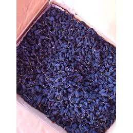 500g NHO ĐEN SẤY KHÔ- sấy không đường