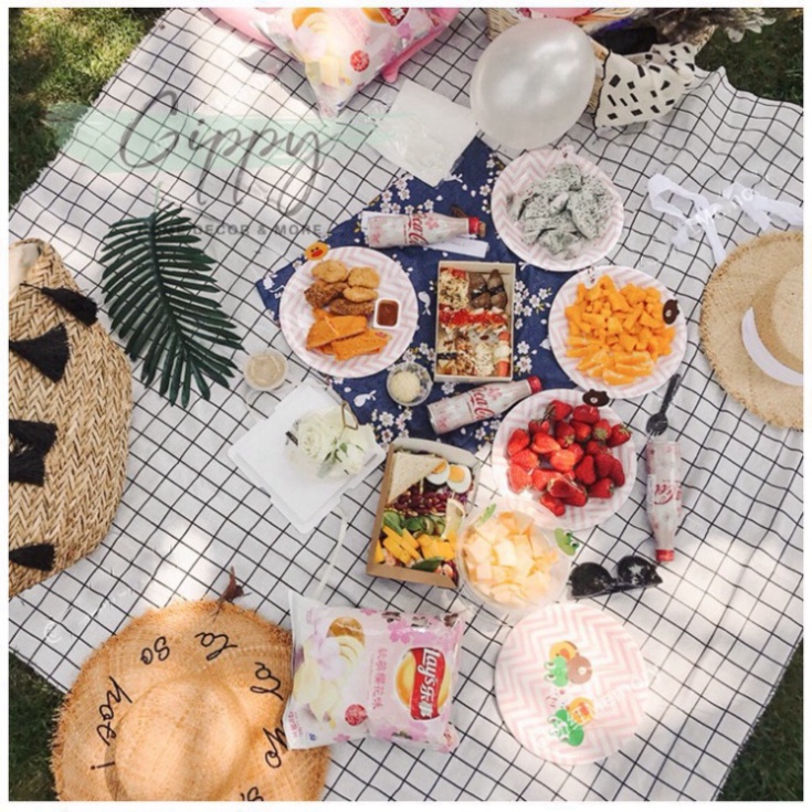 Khăn trải bàn caro chất liệu PVC không thấm nước dùng làm phông nền chụp ảnh picnic dã ngoại ILY