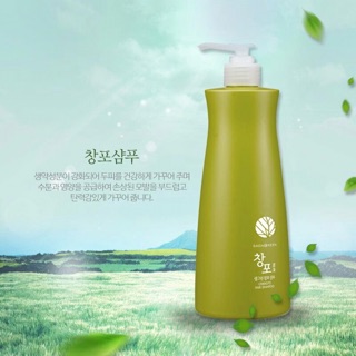 Dầu gội/Dầu xả thảo dược Chanpo Saengreen