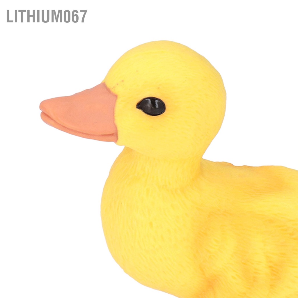 Lithium067 Đồ chơi Vịt nhỏ Dễ thương Màu sắc Sống động Giống như thật Vẻ ngoài Không phai Ximăng Nhựa Bền Vàng Trang trí