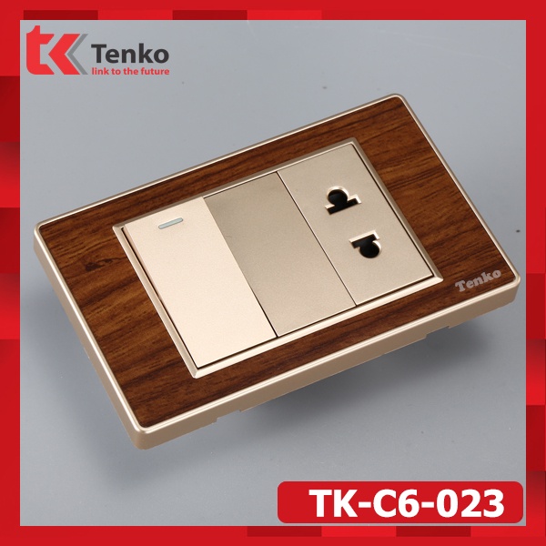 Công Tắc Kèm Ổ Cắm Vân Gỗ Cao Cấp Mặt Vân Gỗ Viền Vàng Dùng Đế Chữ Nhật Thông Dụng - Thương Hiệu Nhật TK-C6-025