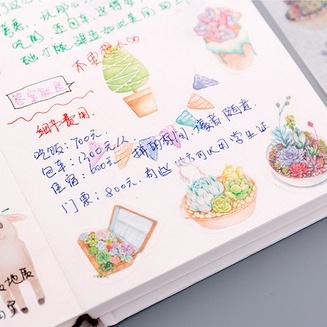 Set 6 tập sticker trang trí cây xương rồng Cantus